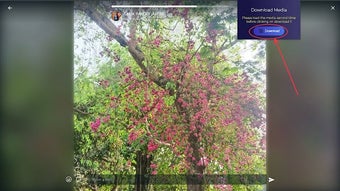 الصورة 0 لـ 