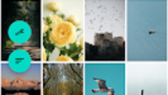  için 0 numaralı resim