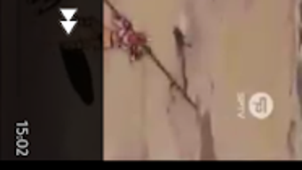 الصورة 0 لـ 