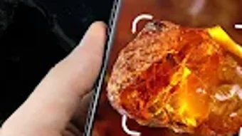 รูปภาพ 0 สำหรับ 