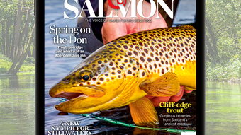 Trout  Salmon Magazine