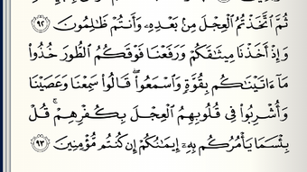 الصورة 0 لـ 