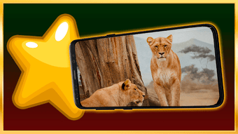  için 0 numaralı resim