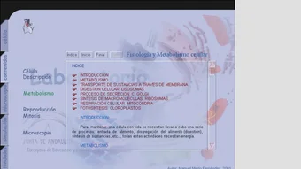 Afbeelding 0 voor 