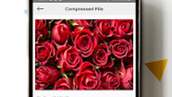 Изображение 0 для 