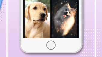 รูปภาพ 0 สำหรับ 