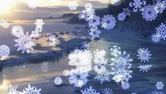 Snowing Snowflakes Live Wallpaper