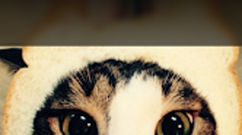 الصورة 0 لـ 