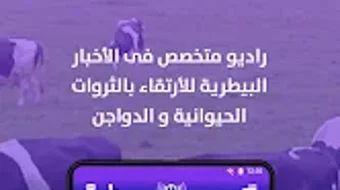 الصورة 0 لـ 