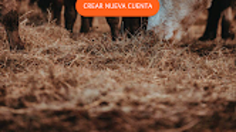 Obraz 0 dla 