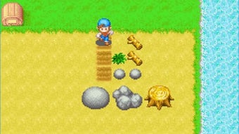 の画像0