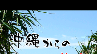 的第0张图片