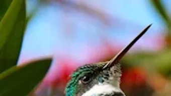 الصورة 0 لـ 