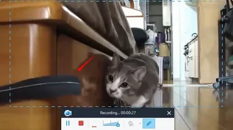 의 이미지 0