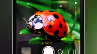 รูปภาพ 0 สำหรับ 