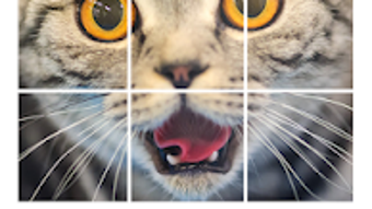 รูปภาพ 0 สำหรับ 