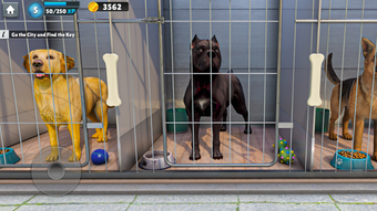 Изображение 0 для 