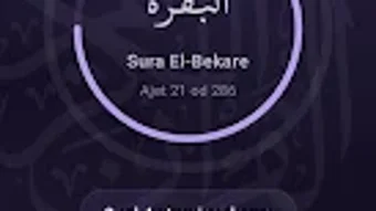 의 이미지 0