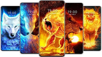  için 0 numaralı resim