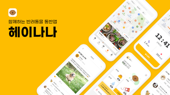 의 이미지 0