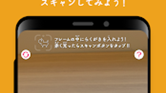 の画像0