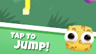 รูปภาพ 0 สำหรับ 