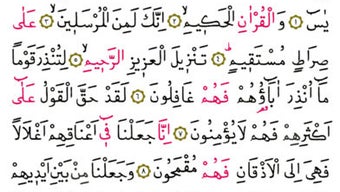  için 0 numaralı resim