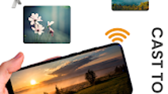 รูปภาพ 0 สำหรับ 