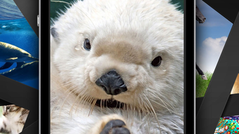 รูปภาพ 0 สำหรับ 