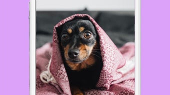 Изображение 0 для 