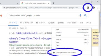 의 이미지 0