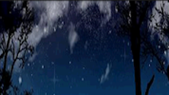 الصورة 0 لـ 