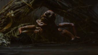  için 0 numaralı resim