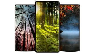 รูปภาพ 0 สำหรับ 