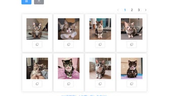 รูปภาพ 0 สำหรับ 