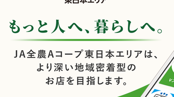 的第0张图片