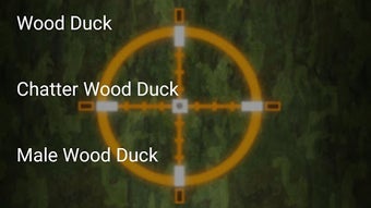 Изображение 0 для 