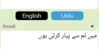 Urdu English Translator