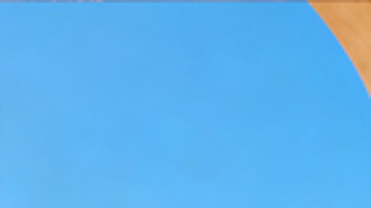 의 이미지 0