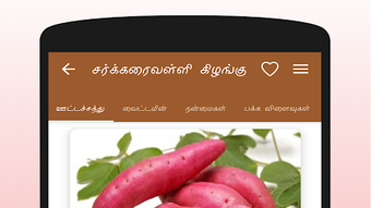 Fruits & Vegetables - பழங்கள், காய்கறிகள்