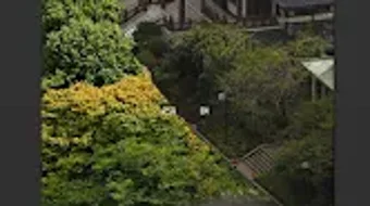  için 0 numaralı resim