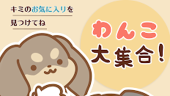 의 이미지 0