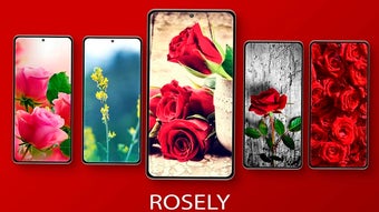 Rosely- Rose Flower wallpapers