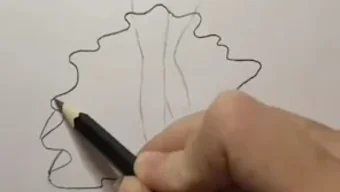 的第0张图片