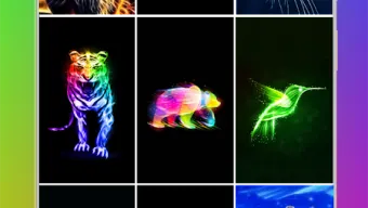 Neon Animal Wallpaper