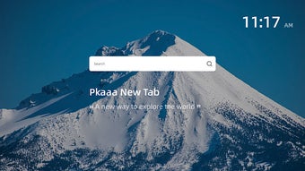 Pkaaa New Tab