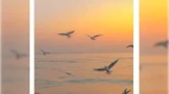 的第0张图片