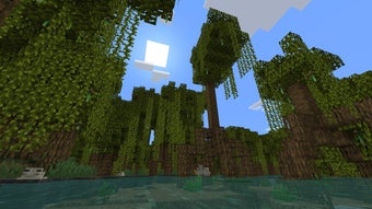 Minecraft: Java & Bedrock Edition
