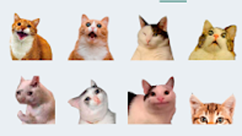 Imagem 0 para 