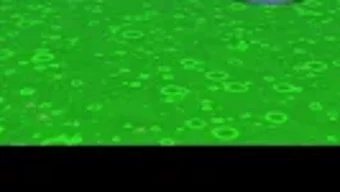 Imagem 0 para 